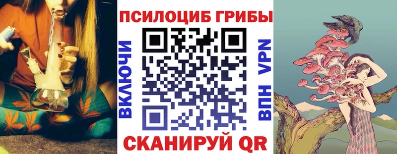 Купить закладки  Горно-Алтайск  Псилоцибиновые грибы MAGIC MUSHROOMS 
